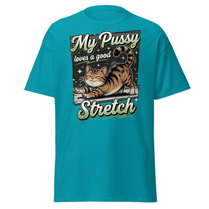 My Pussy Loves a Good Stretch Funny Cat T-Shirt - Tropical Blue - TeeRipple